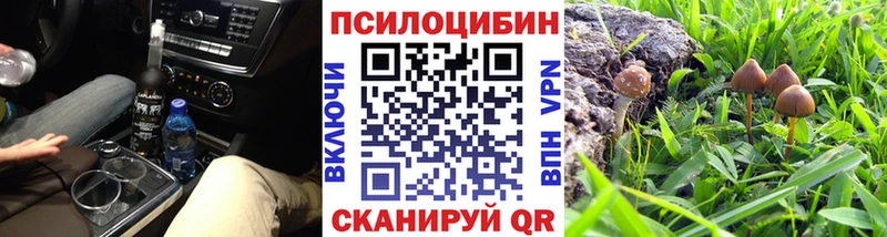 Псилоцибиновые грибы мицелий  Кремёнки 